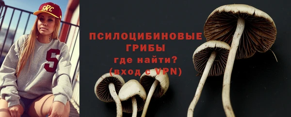 винт Баксан