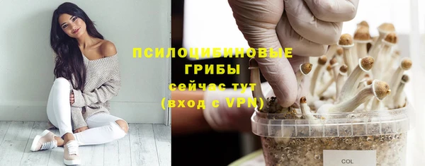 эйфоретик Балабаново