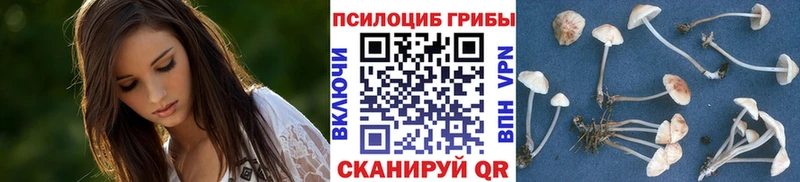 Галлюциногенные грибы ЛСД  Дагестанские Огни 