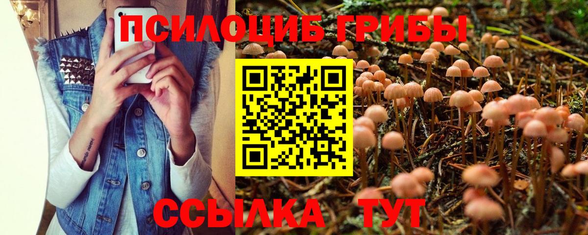 Дагестанские Огни  Галлюциногенные грибы GOLDEN TEACHER  Псилоцибиновые грибы Psilocybe  Вход с VPN 